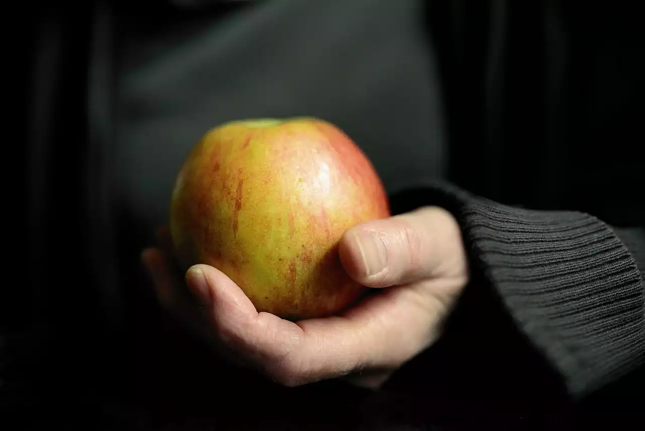 Vegetarisme en ethiek: het verband begrijpen